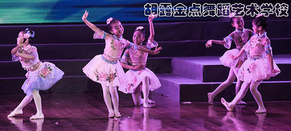 株洲胡露金点舞蹈艺术学校 (原露露舞蹈艺术学校)