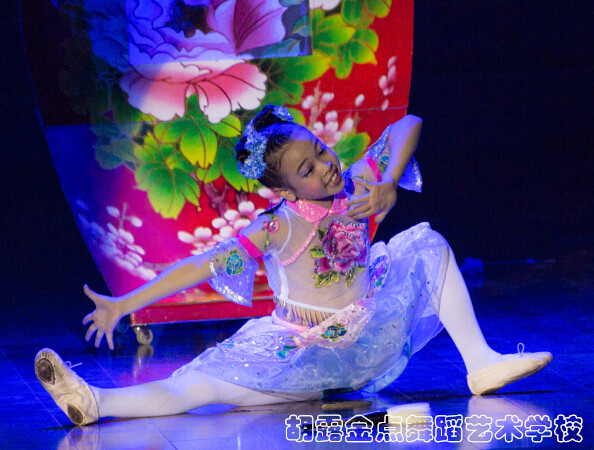 株洲胡露金点舞蹈艺术学校 (原露露舞蹈艺术学校)