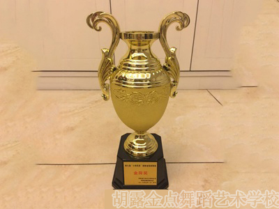 株洲胡露金点舞蹈艺术学校 (原露露舞蹈艺术学校),株洲舞蹈学校，株洲舞蹈培训，少儿舞蹈培训学校