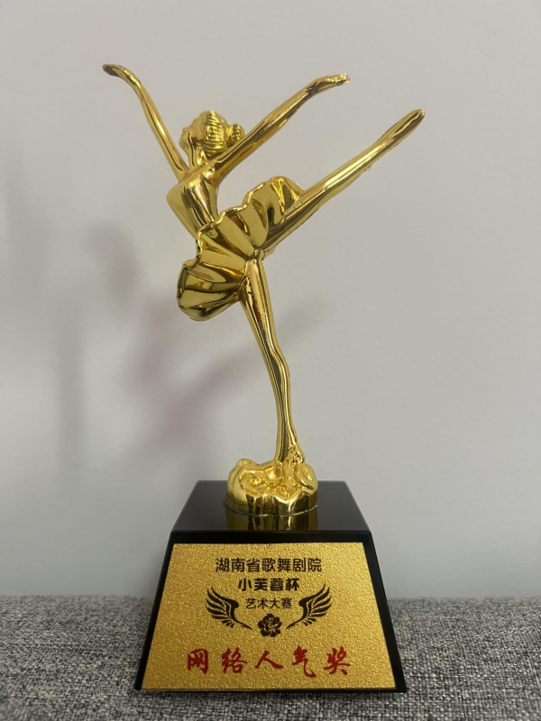 株洲市芦淞区胡露金点舞蹈艺术学校 (原露露舞蹈艺术学校),株洲舞蹈学校，株洲舞蹈培训，少儿舞蹈培训学校
